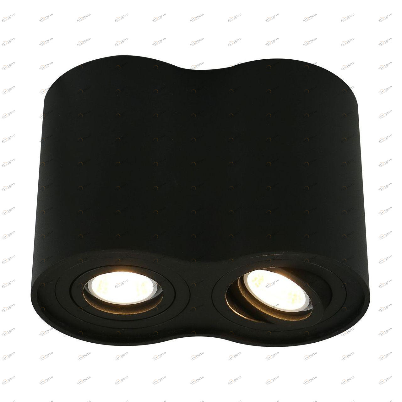 Потолочный светильник Arte Lamp A5644PL-2BK ARTE LAMP 5644 201306 Черный 