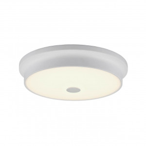 Потолочный светодиодный светильник Citilux Фостер-2 CL706230