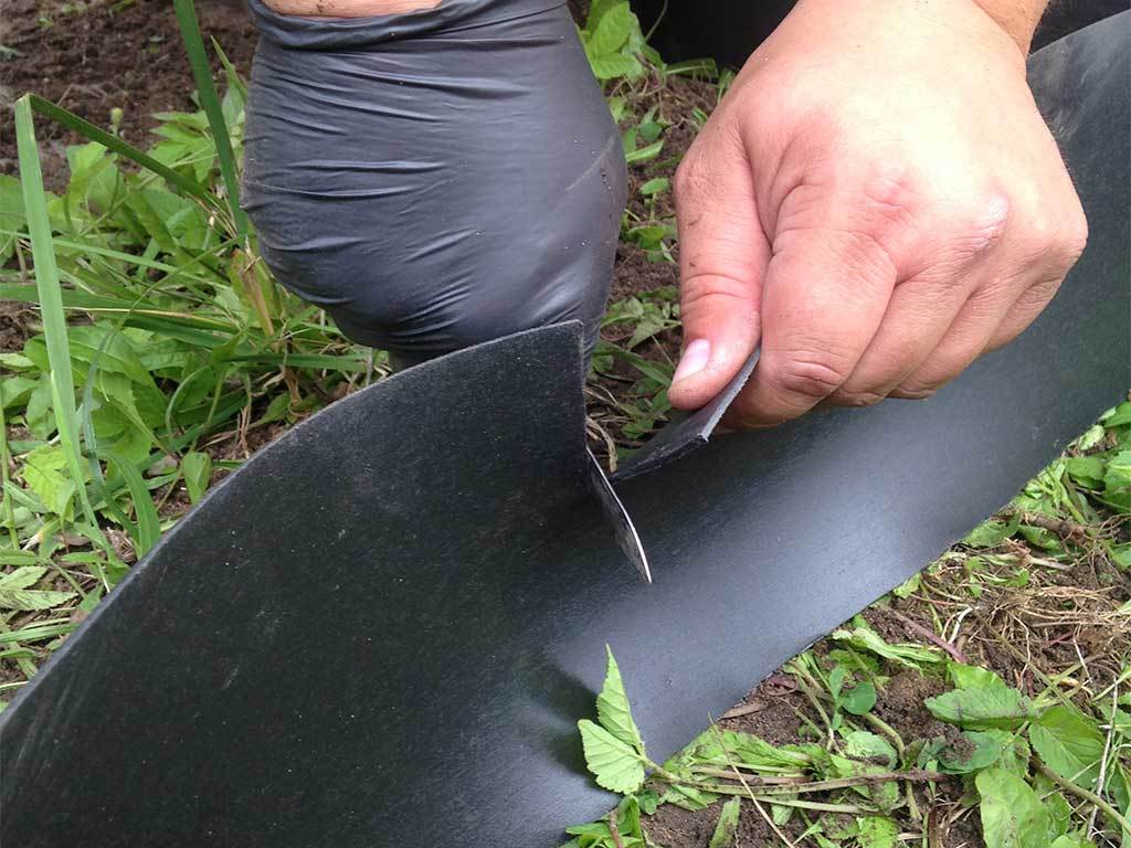 Лента бордюрная 450 мм x 10 м, 2 мм ГеоПластБорд GPBST-52 - Вид №7