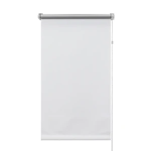 Рулонная штора ЭСКАР Silverback с эффектом блэкаут 50×160 см 89354636