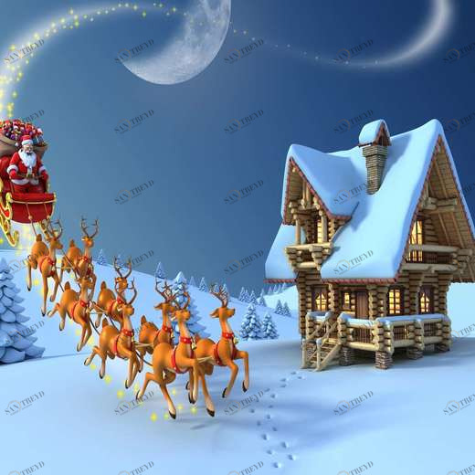 WP00318 Фотообои Verol Фотообои decoline 1х1 м