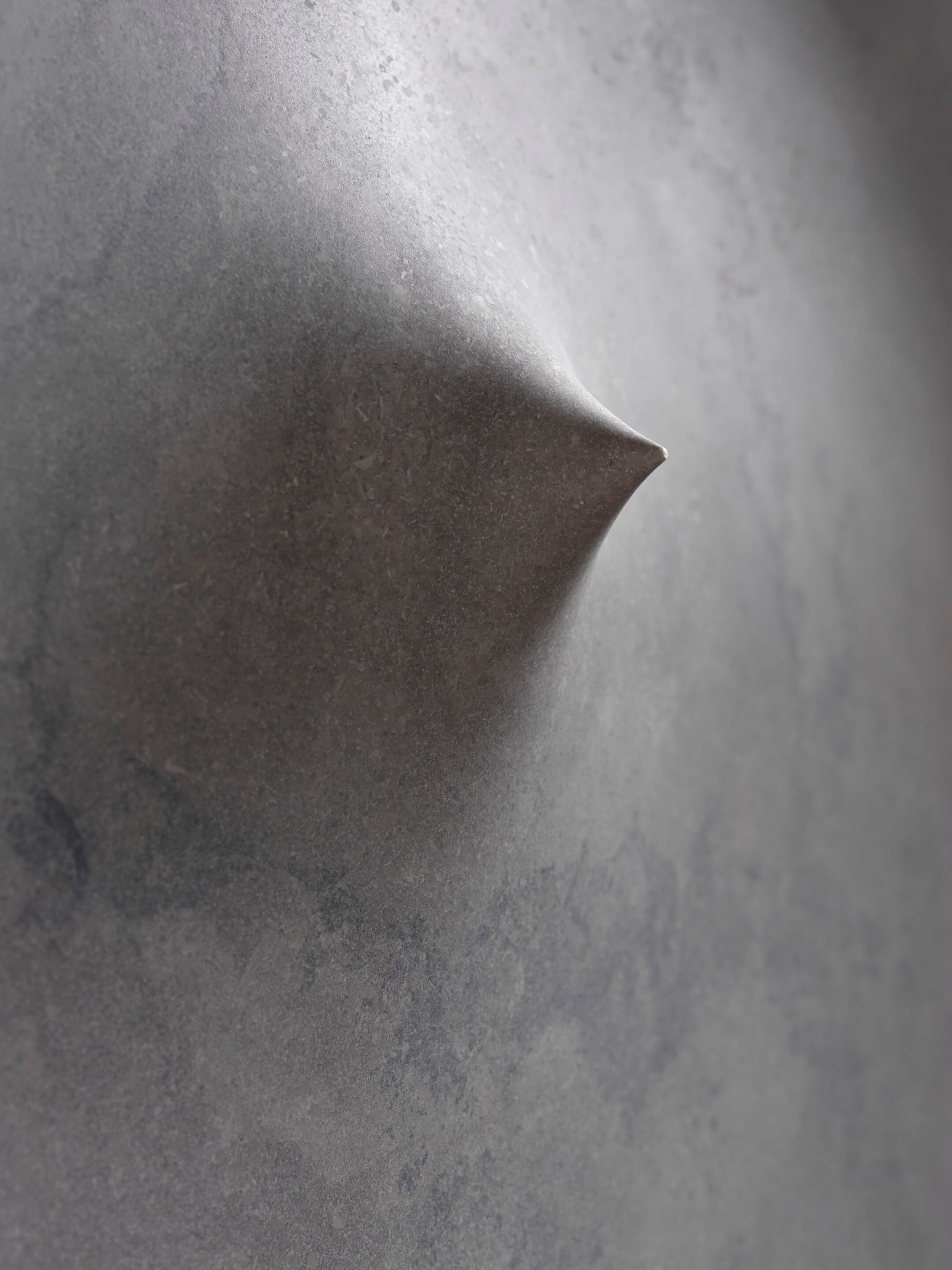 Камень стены декоративный объект Bagnara Opus ARCH-00121327 - Вид №1