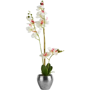 85881693 Искусственное растение Орхидеи h62 см ткань белый STLM-0960028