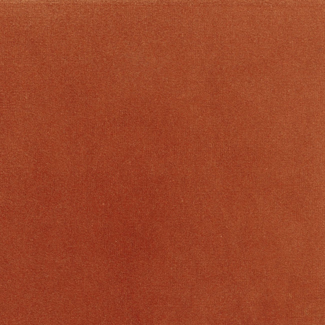 Бархатная однотонная ткань Élitis Palatine ARCH-00143253 - Вид №18