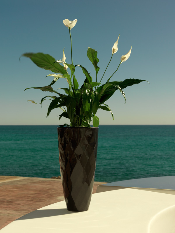 073107 Кашпо Nano матовое фиолетовое 28см Vondom Vases - Вид №1