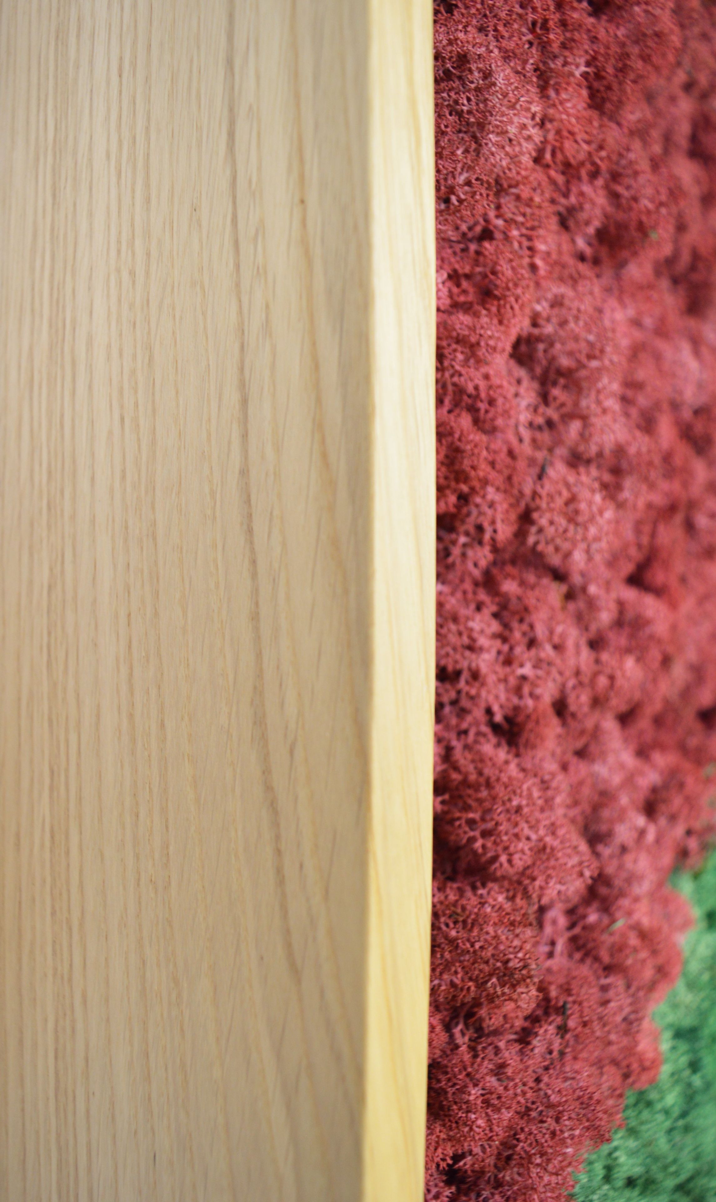 Акустическая панель из мха GREENMOOD FRAMED SYNERGY ARCH-00061647 - Вид №13