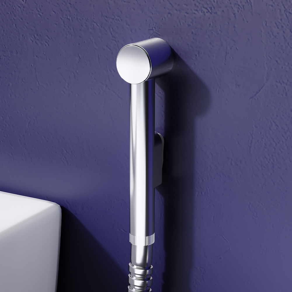 760210164 Гигиенический душ держатель Damixa 