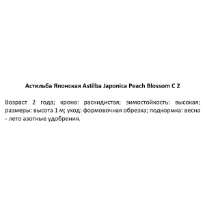 Астильба японская Пич Блоссом C2 ø15 h30 см 84406449 STLM-2104767