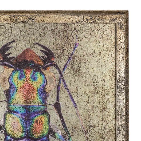 078485 Настенная панель с жуком Francisco Segarra Santreyd  - Вид №1