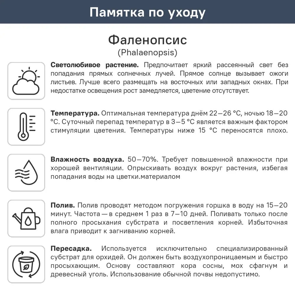 Орхидея Фаленопсис каскад ø12 h45 см Santreyd STLM-2120359 - Вид №1