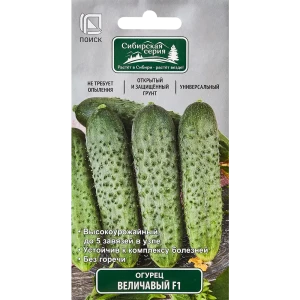Семена огурцов ПОИСК Величавый F1 - раннеспелый гибрид для богатого урожая 89346724