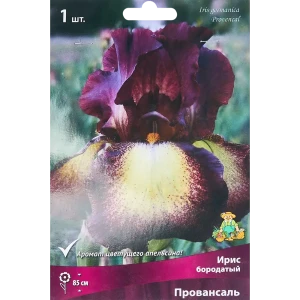 Ирис бородатый Провансаль - корневище с бело-красными цветами 86410656