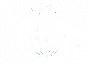 Siru Потолочный светильник из муранского стекла Pozzo Rc 119-035
