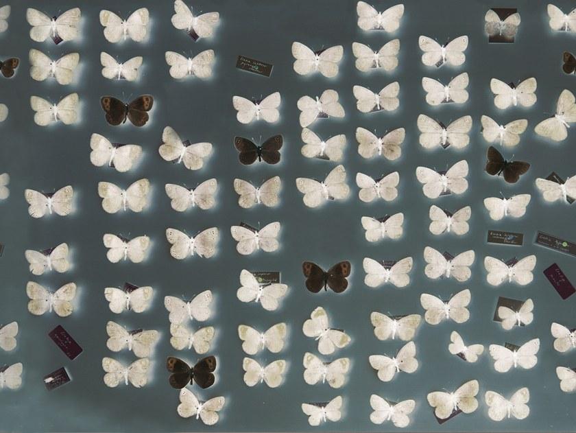 Wall&decò Обои на стену Contemporary wallpaper 2018 sun-id-1354968 - Вид №2