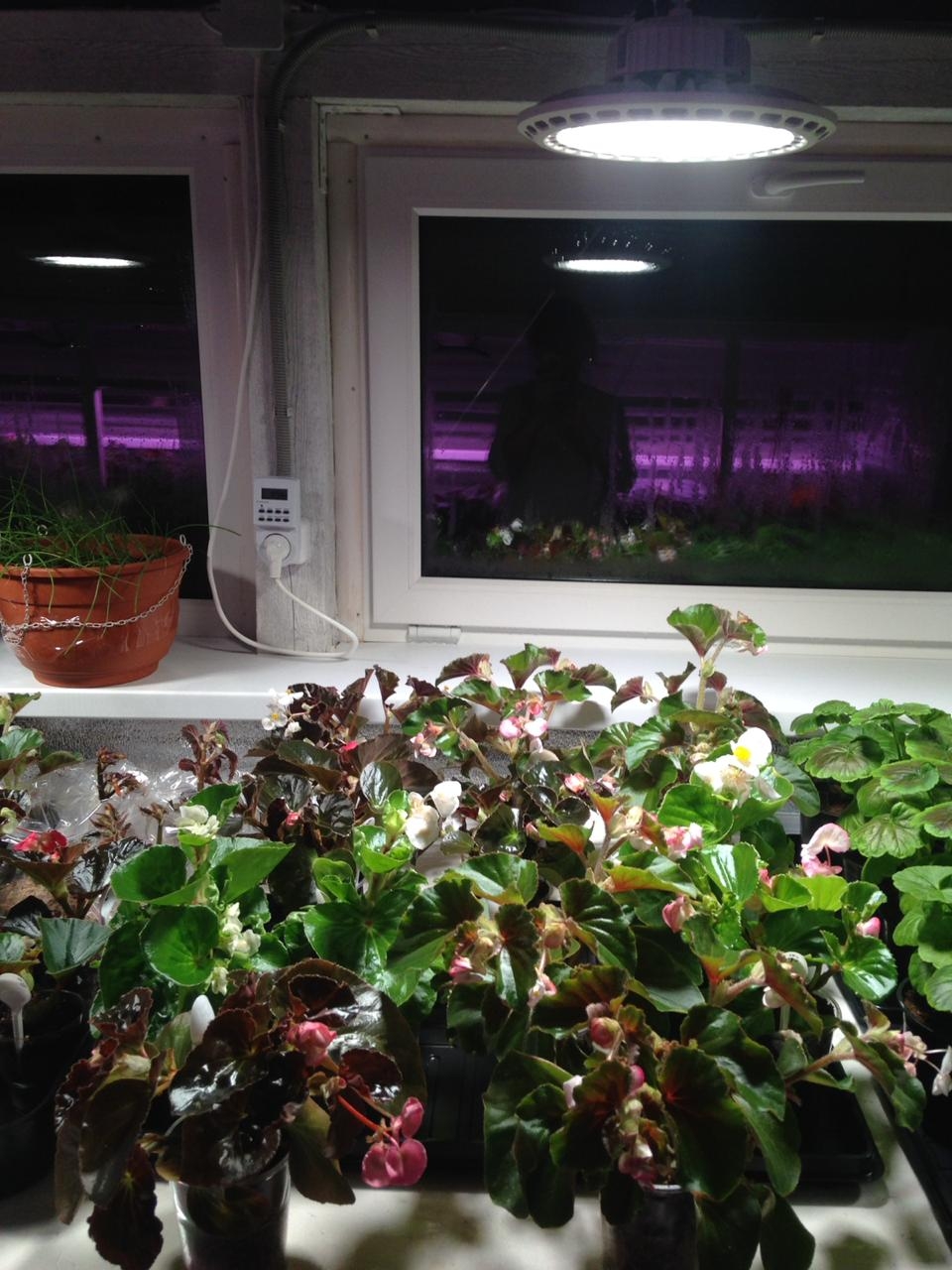 1311 Фитолампа UFO SMD 50 Watt LAB.Space  - Вид №14