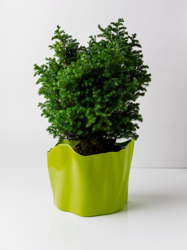 QL10142-GN Органайзер flow средний зеленый Qualy  - Вид №1