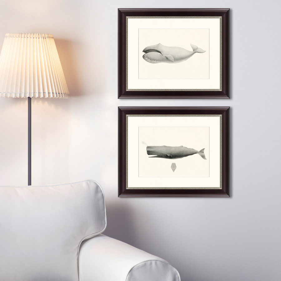 Картина: Bowhead whale (Balaena mysticetus), 1856 КАРТИНЫ В КВАРТИРУ  191742 Разноцветный  - Вид №2