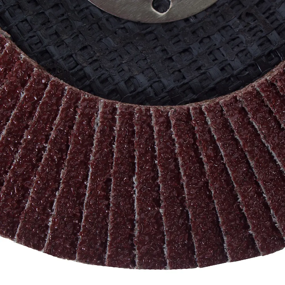 Лепестковый конический круг FLEXIONE для сложных поверхностей 81929901 STLM-0014055 - Вид №1