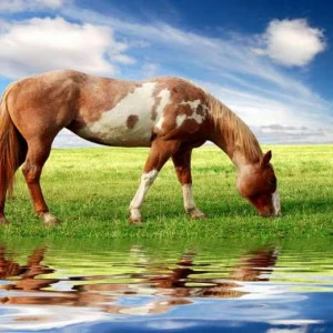 WP01141 Фотообои Verol Фотообои decoline 1х1 м