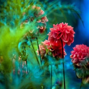 WP01989 Фотообои Verol Фотообои decoline 1х1 м