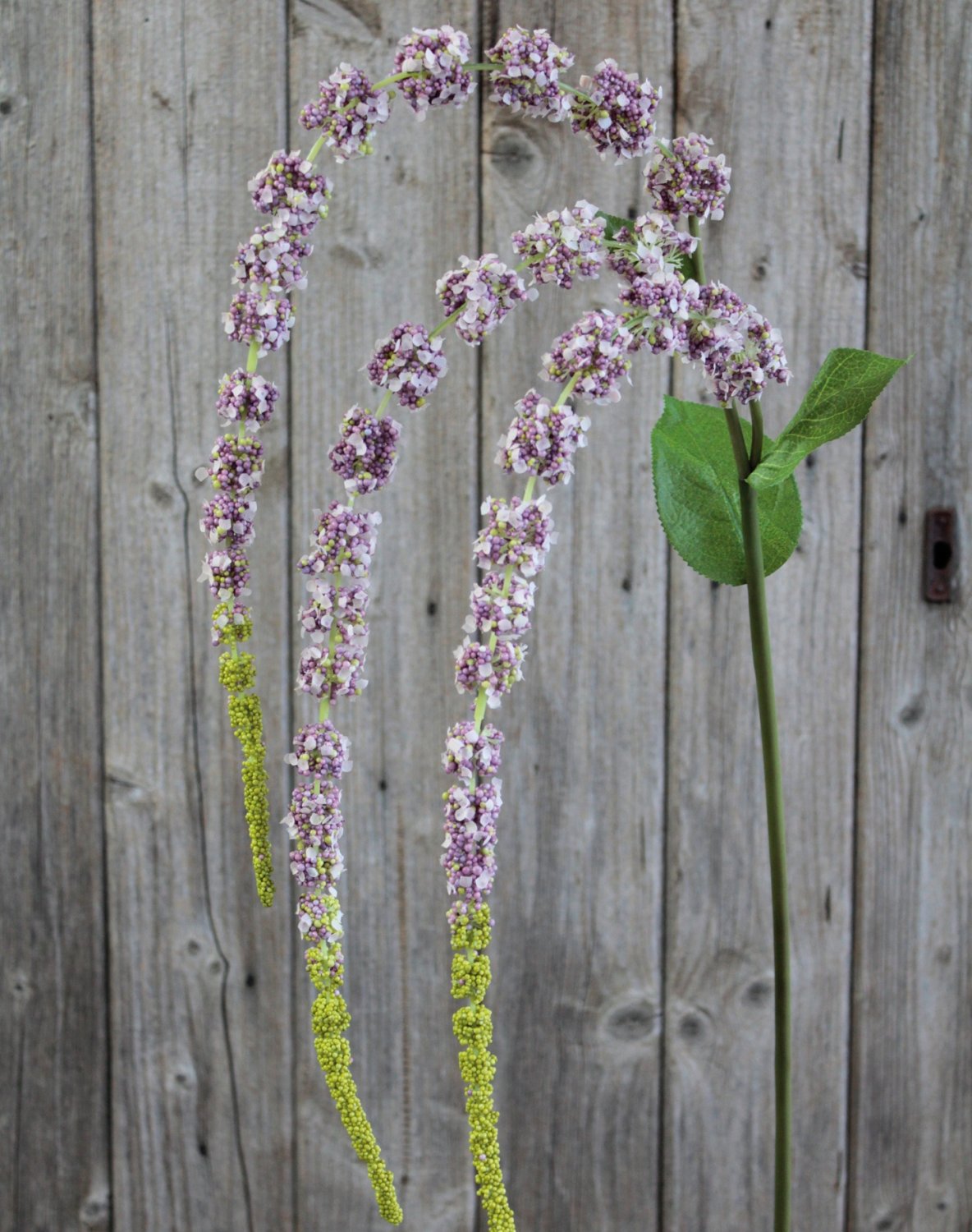 4863 208 a3 Стебель искусственного амаранта, 70 см (105 см), фиолетово-зеленый H-andreas  - Вид №6