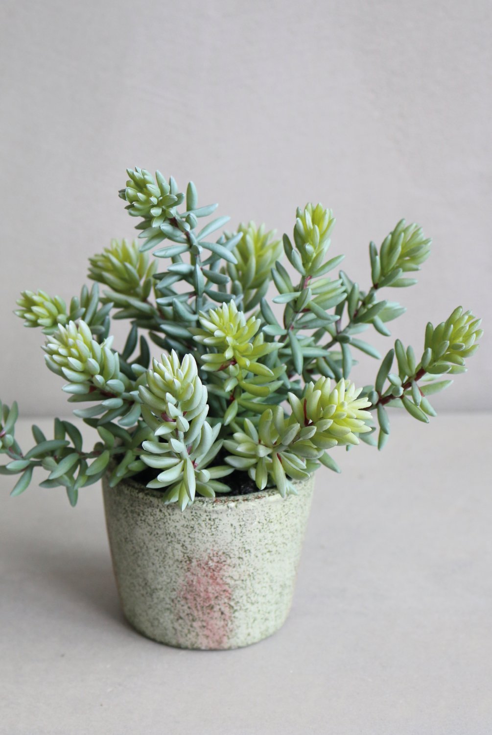 6103 883 a3 Искусственный суккулент, горшок, 19 см, зеленый H-andreas  - Вид №4