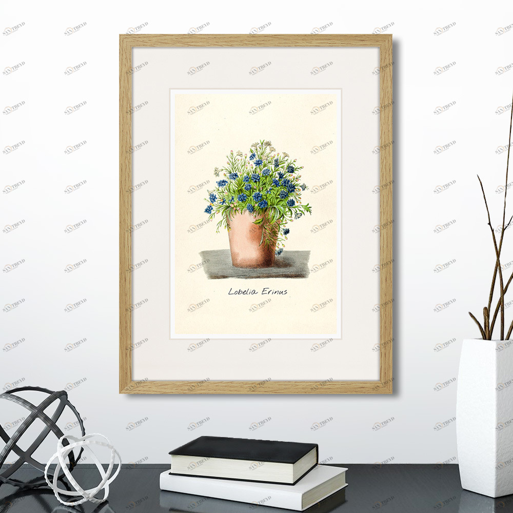 Картина в раме 32х42 см Botany illustration №9, 1836г. КАРТИНЫ В КВАРТИРУ  264501 Бежевый;зеленый;разноцветный 