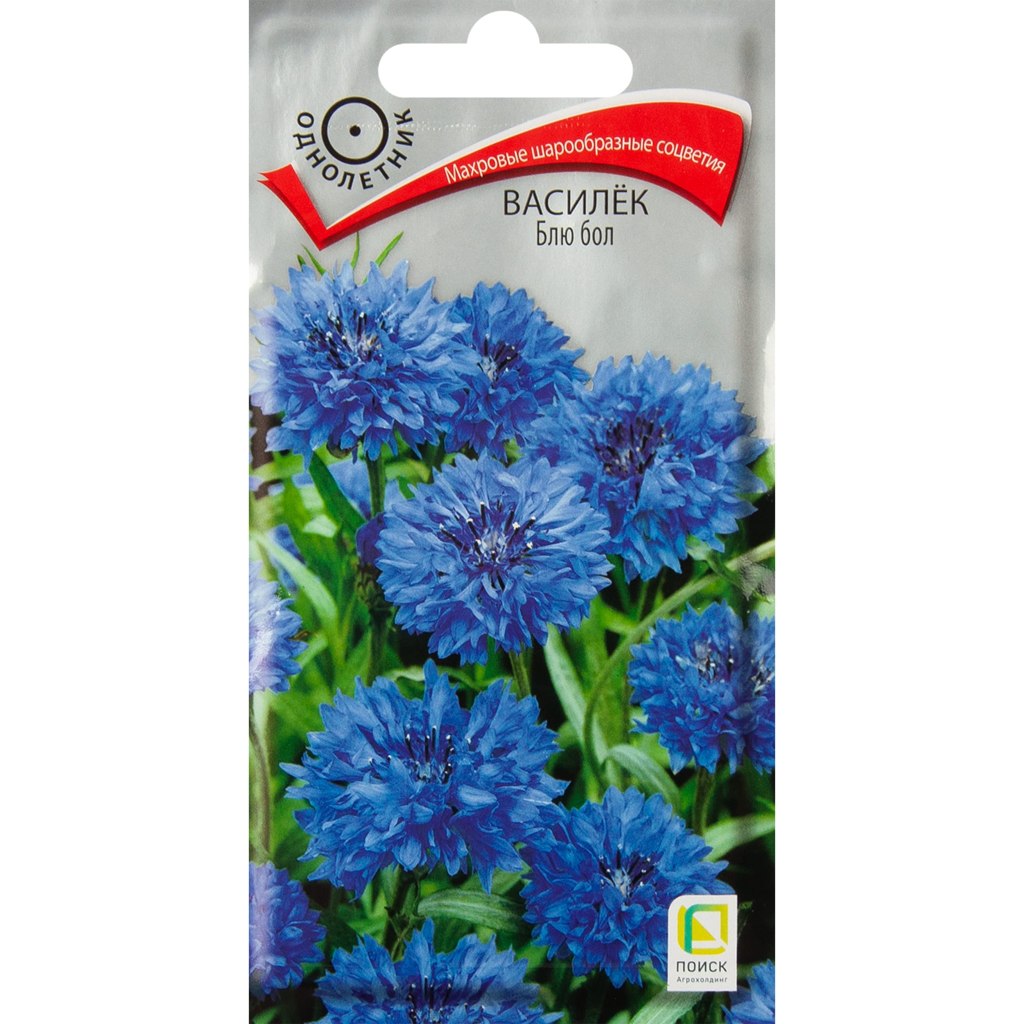 Василек Блю бол от ПОИСК - небесно-синие цветы для вашего сада 83577559 STLM-0041952