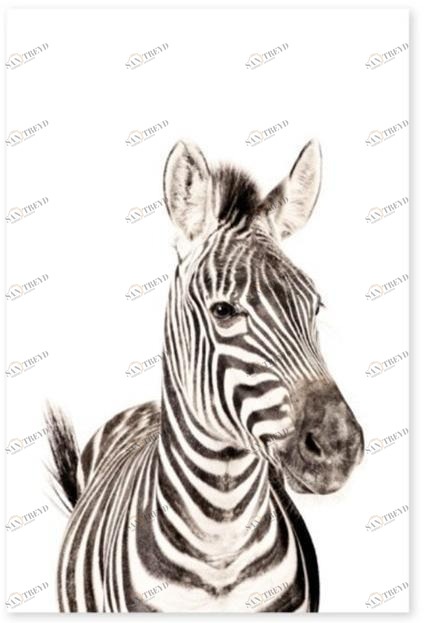 Groovy Magnets Клейкое виниловое украшение  St-92x60-z 