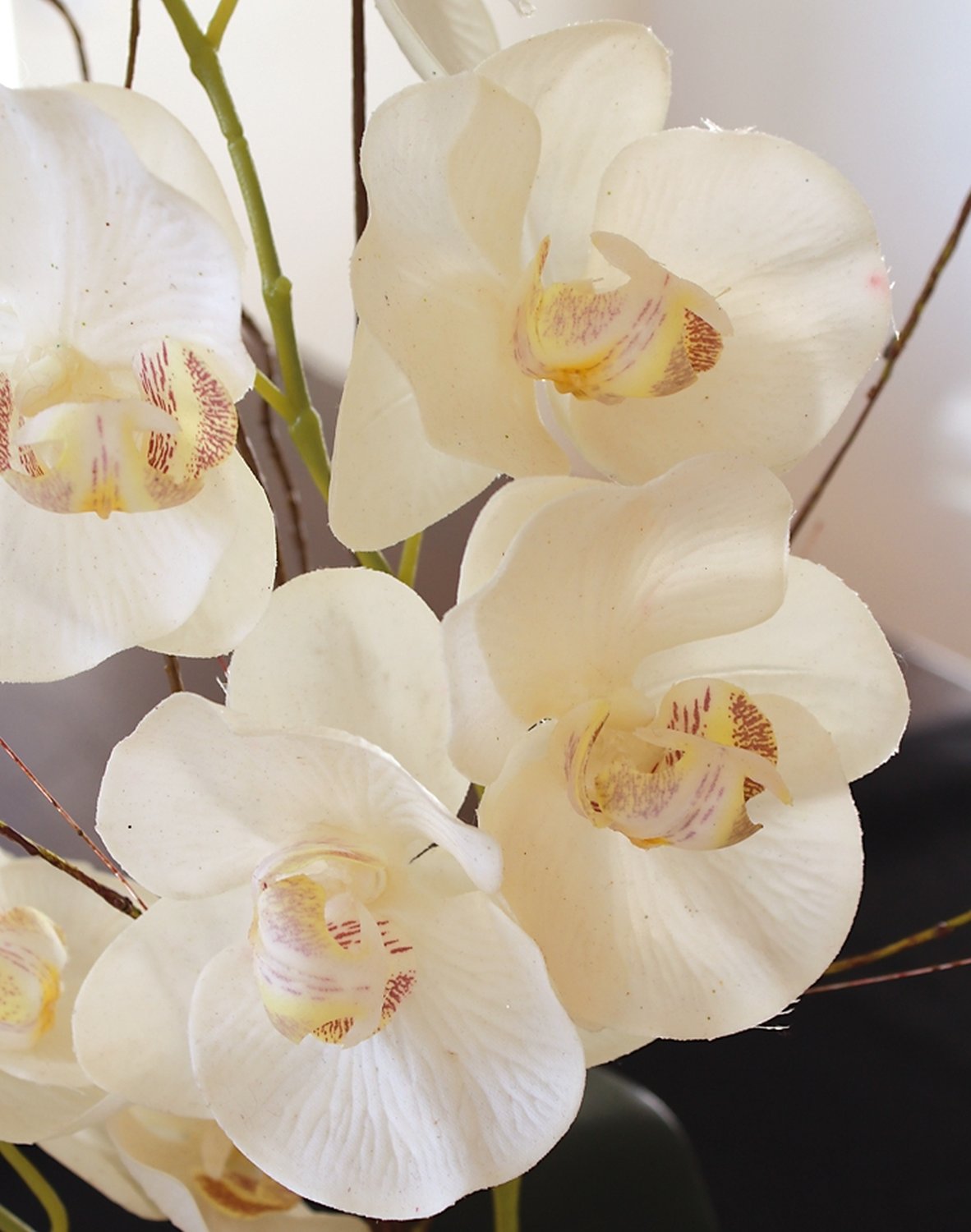 2625 778 a3 Искусственная орхидея Phalaenopsis, 2-х кратная, в керамическом горшке, 54 см, real touch, бежево-белая H-andreas 