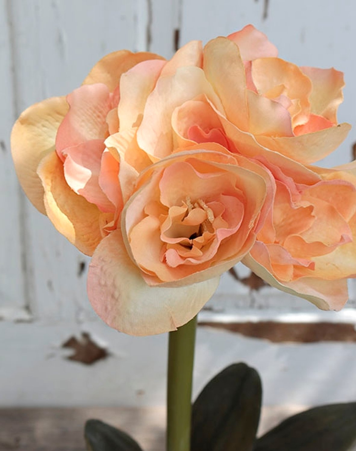 5319 306 a2 Искусственный амариллис, горшок, 48 см, желто-оранжевый H-andreas  - Вид №1