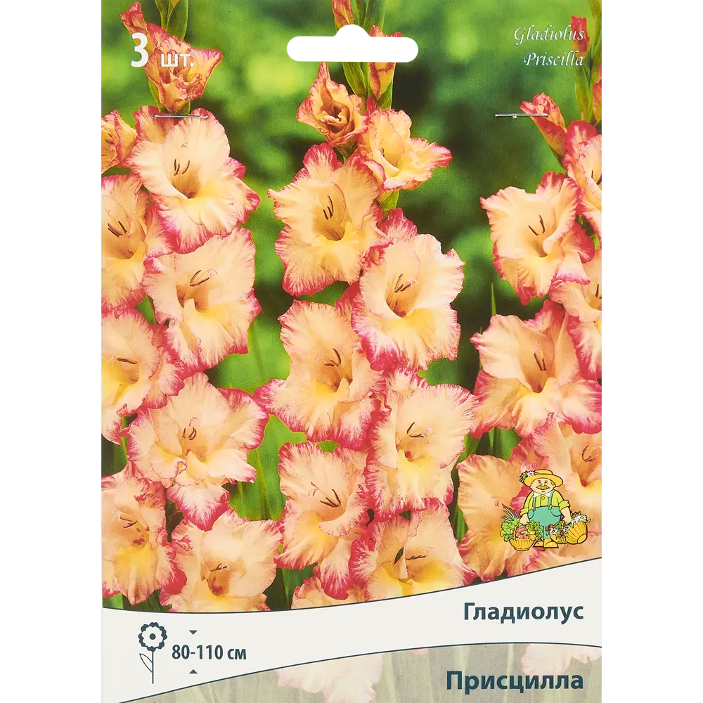 Гладиолус крупноцветковый Присцилла 3 шт. 83588516 STLM-2042541 ПОИСК 