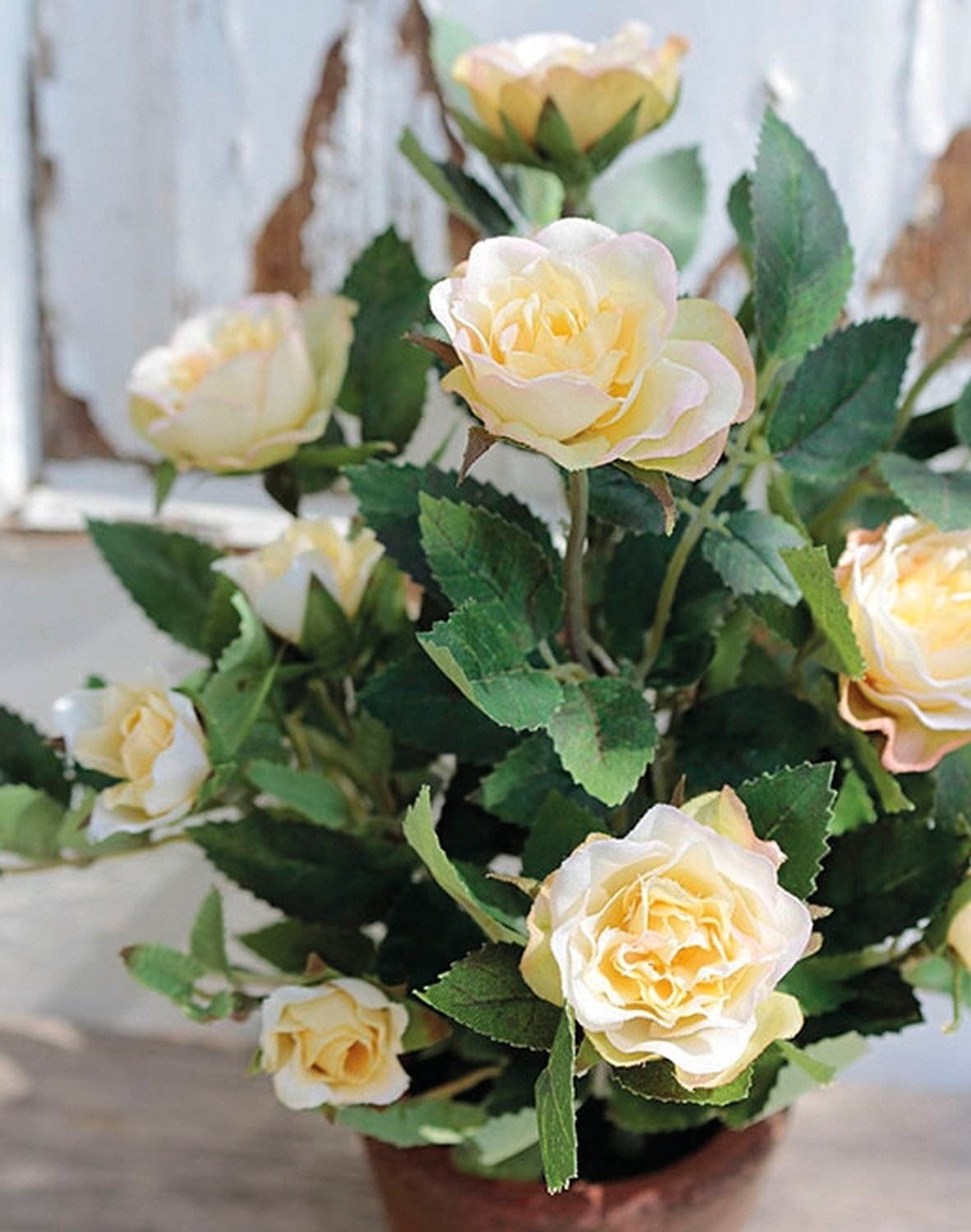 2146 733 a2 Шелковые розы кустовые, горшечные, 23 см, бежево-желтые H-andreas 