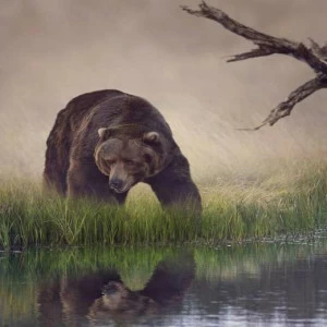 WP00834 Фотообои Verol Фотообои decoline 1х1 м