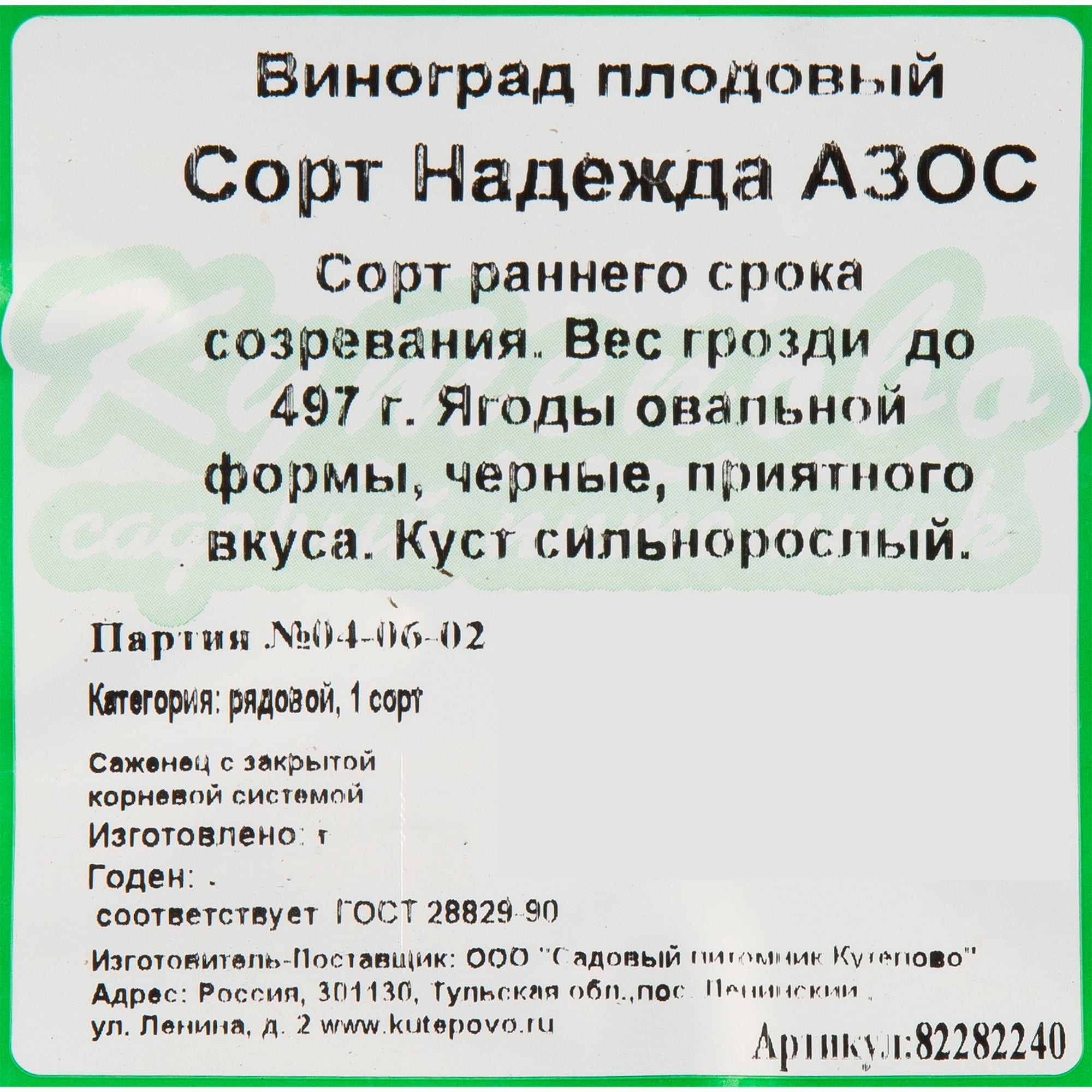 82282240 Виноград плодовый «Надежда Азос» С2 50 см Santreyd  - Вид №1