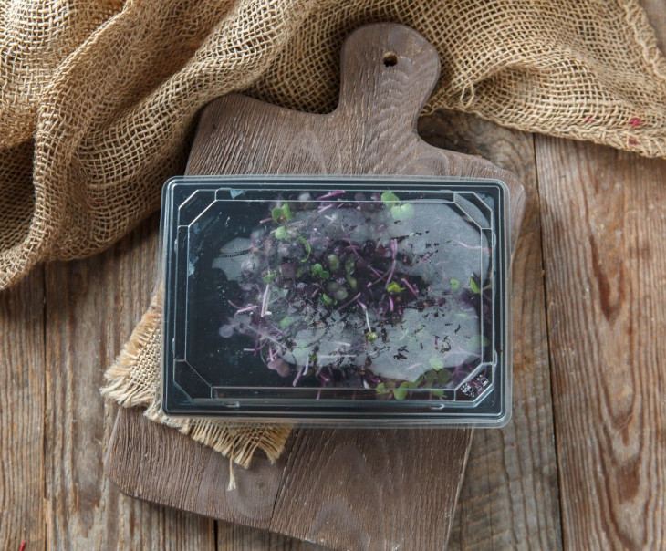 4171 Микрозелень редиса фиолетового "Санго" Вкусляндия  - Вид №2