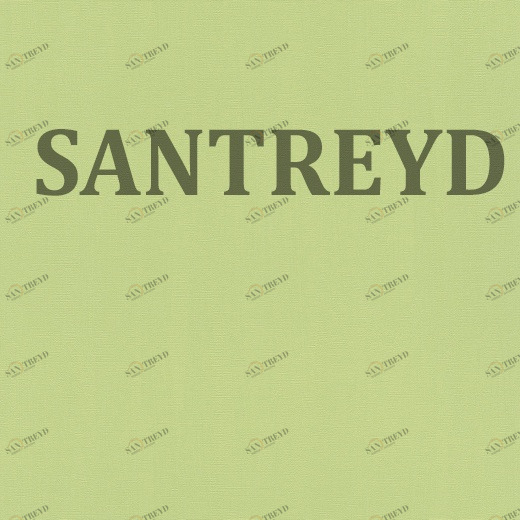 411829 Обои Rasch Hyde Park