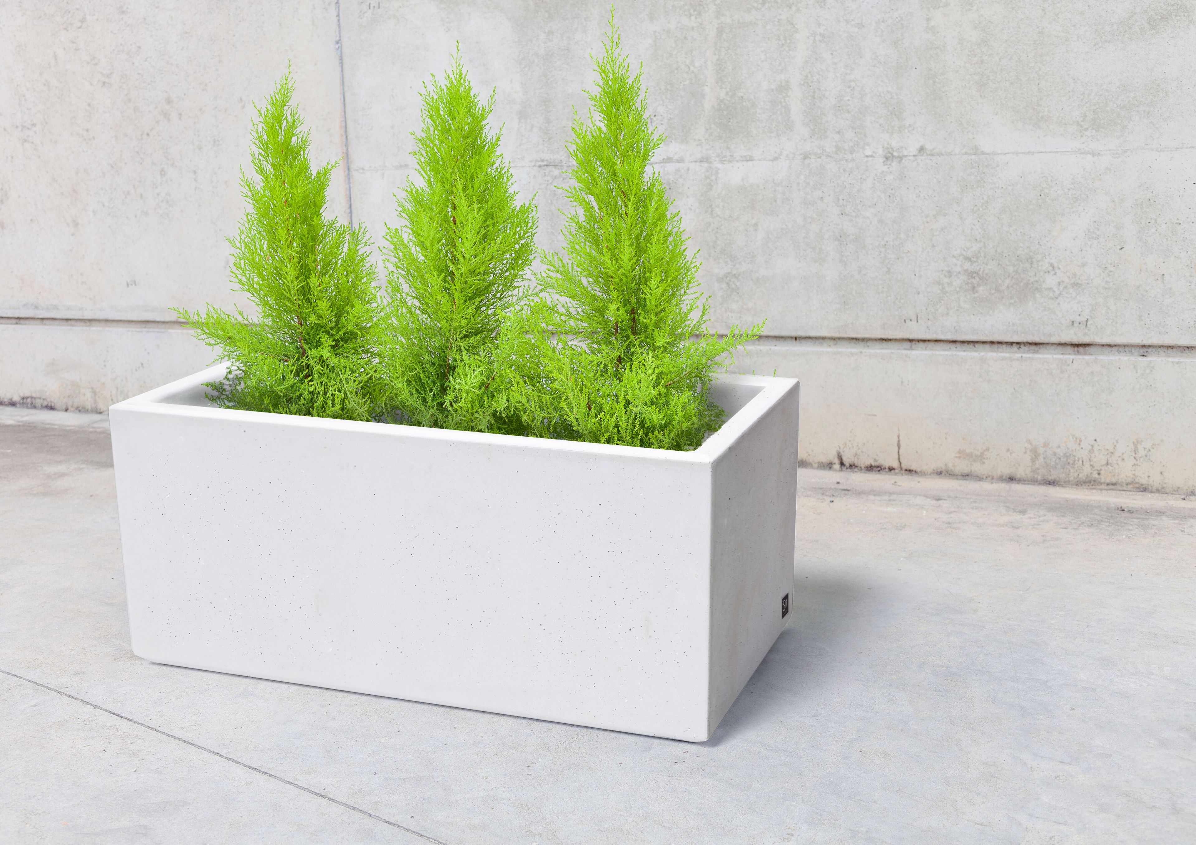Бетонная плантатор SIT Box to Box ARCH-00144781 - Вид №1