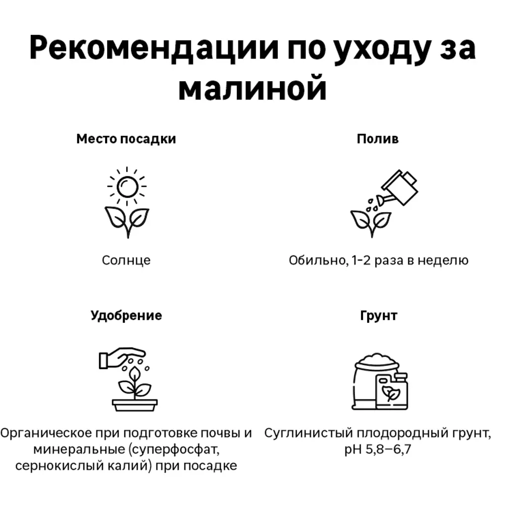 Малина микс туба h36 см 89353017 STLM-2153073 Santreyd 