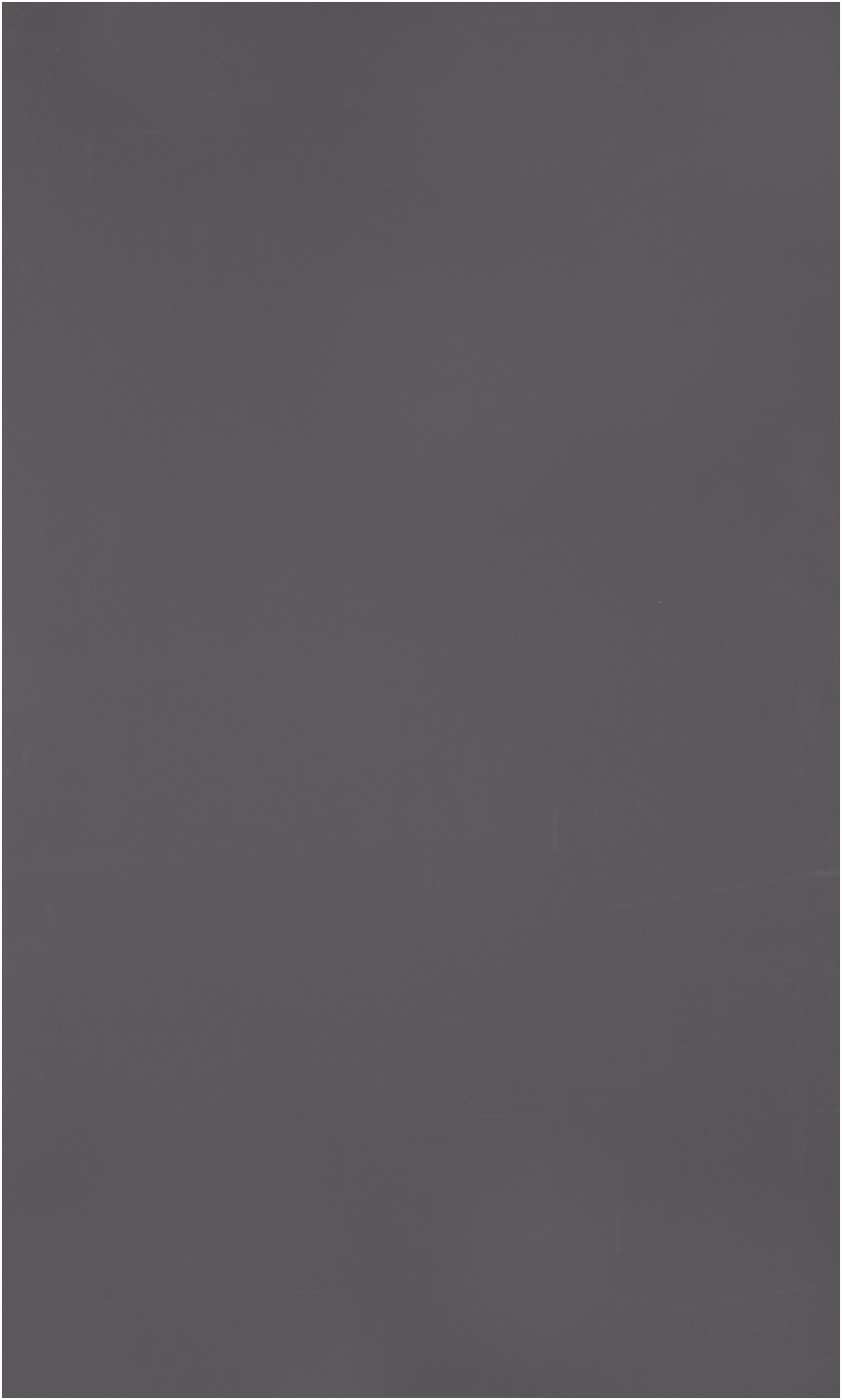 82360924 Полотно зеркальное 55x90 см 1 шт. Зеркальное полотно STLM-0025420 SENSEA  - Вид №3