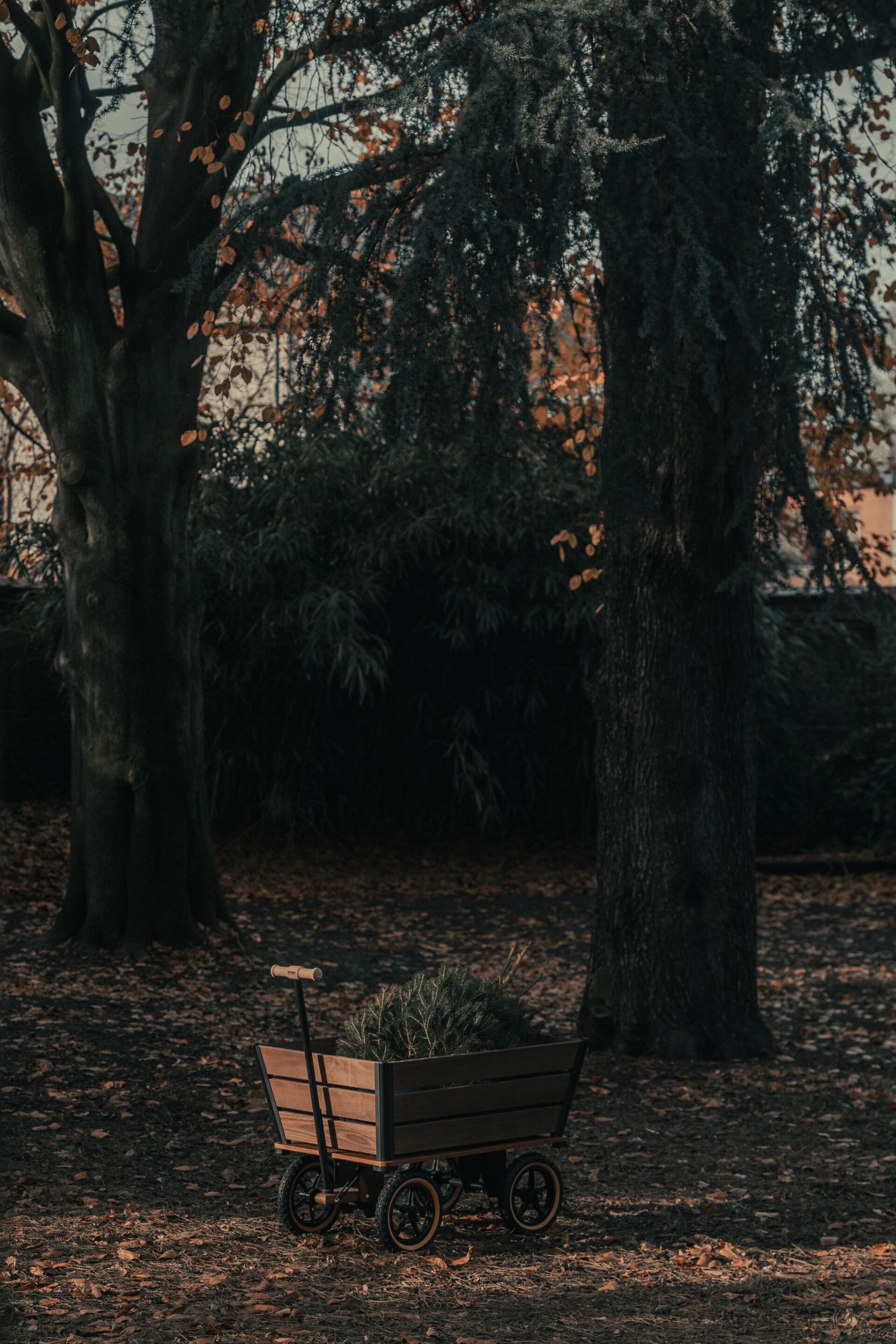 Садовая тележка TRADEWINDS THE PLANK WAGON ARCH-00043245 - Вид №13