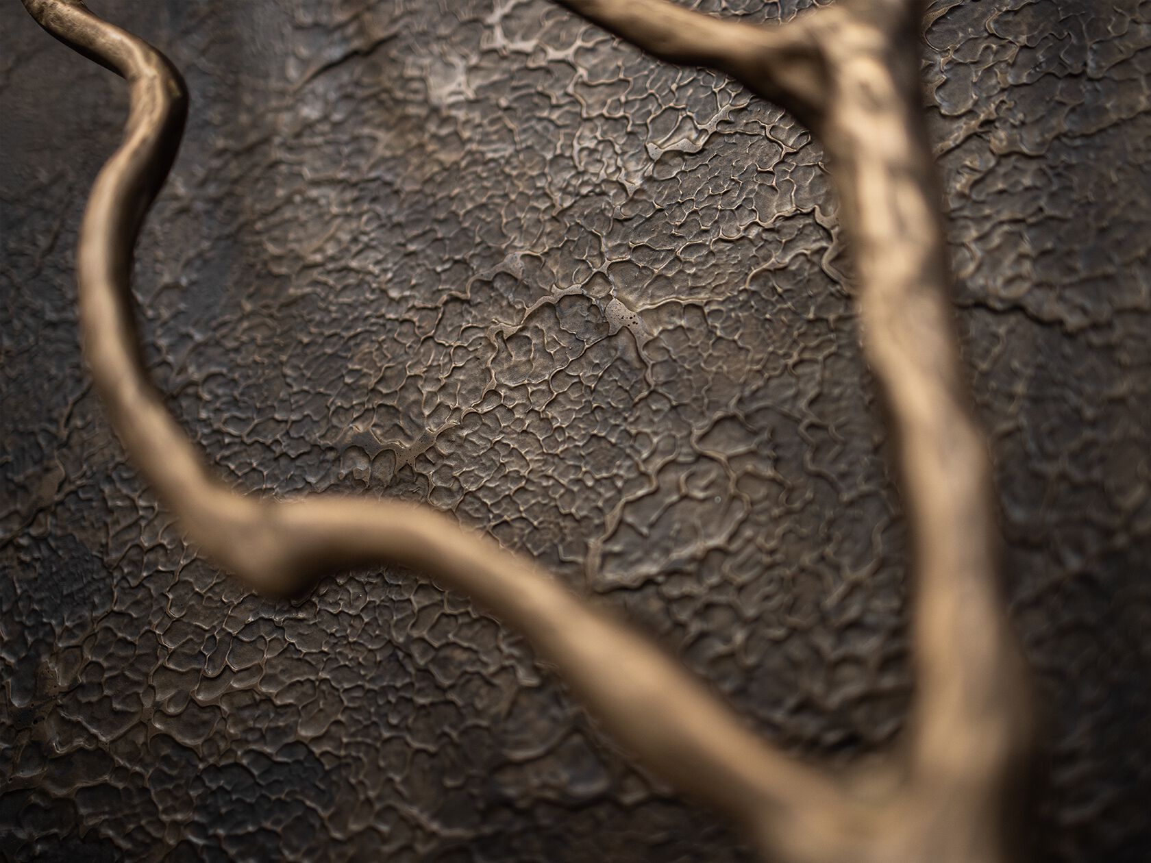 Металлическая входная дверь Roka IMPERIAL ARCH-00014004 - Вид №2