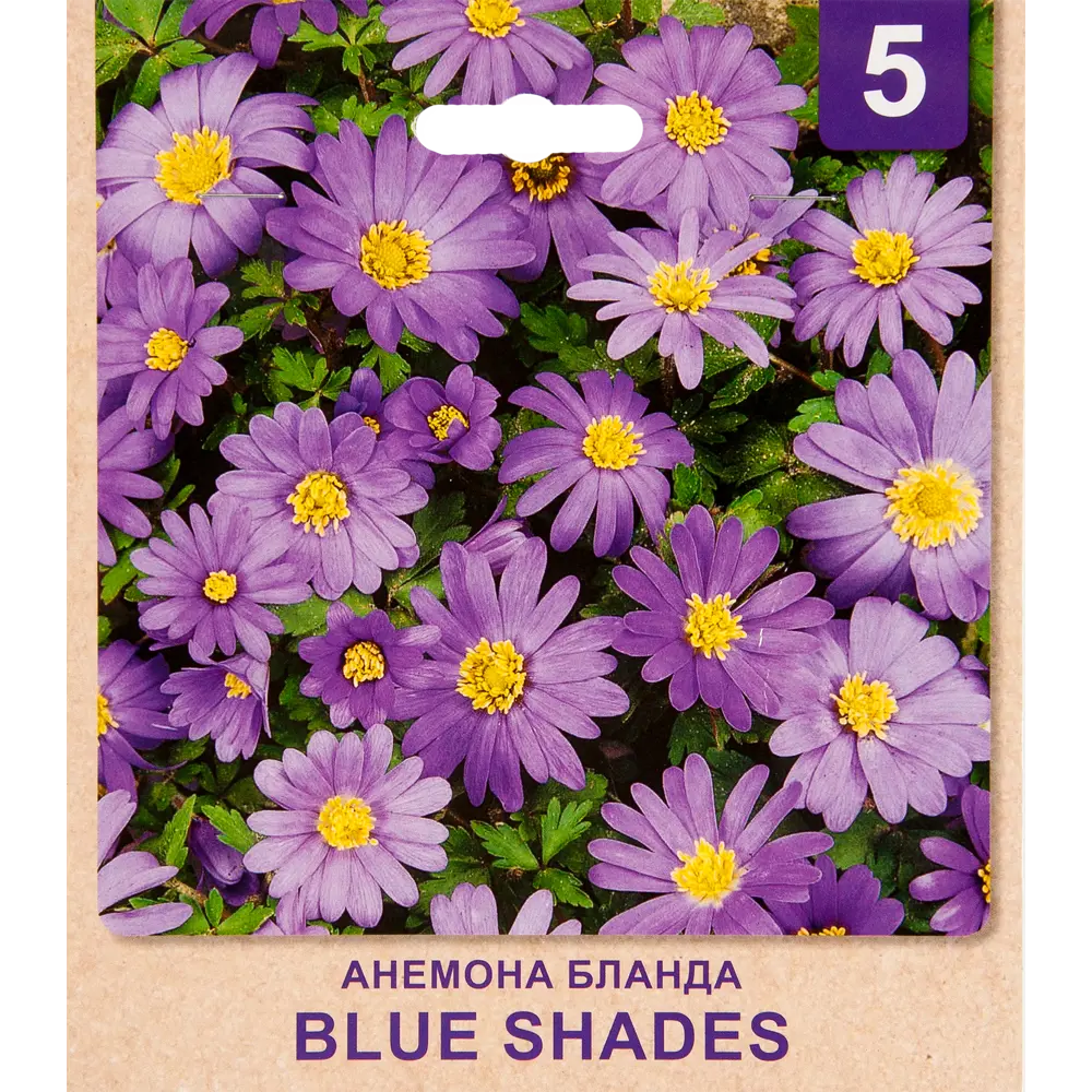 Анемона «Blue Shades» размер луковицы 5/6, 5 шт. 82365208 STLM-2087915 Santreyd 