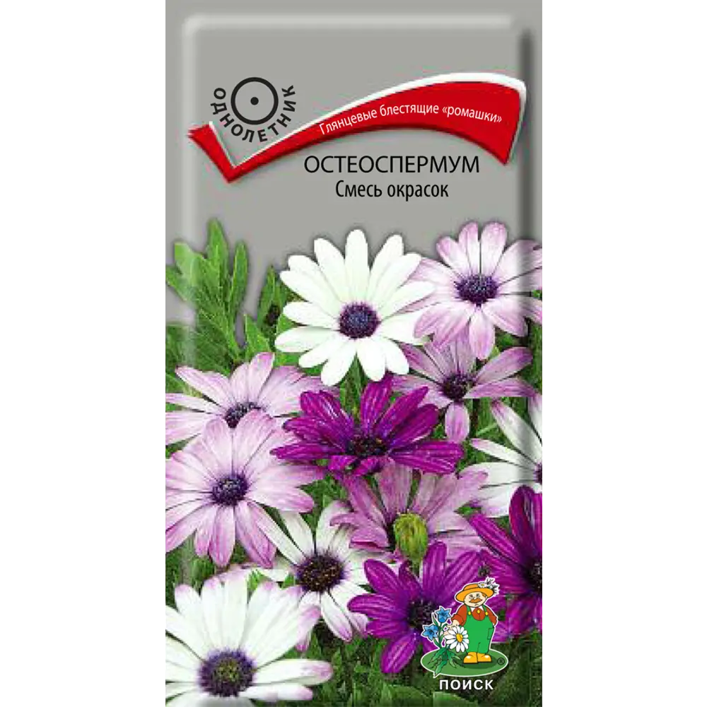 Семена цветов Поиск остеоспермум смесь окрасок 86217961 STLM-2016493 