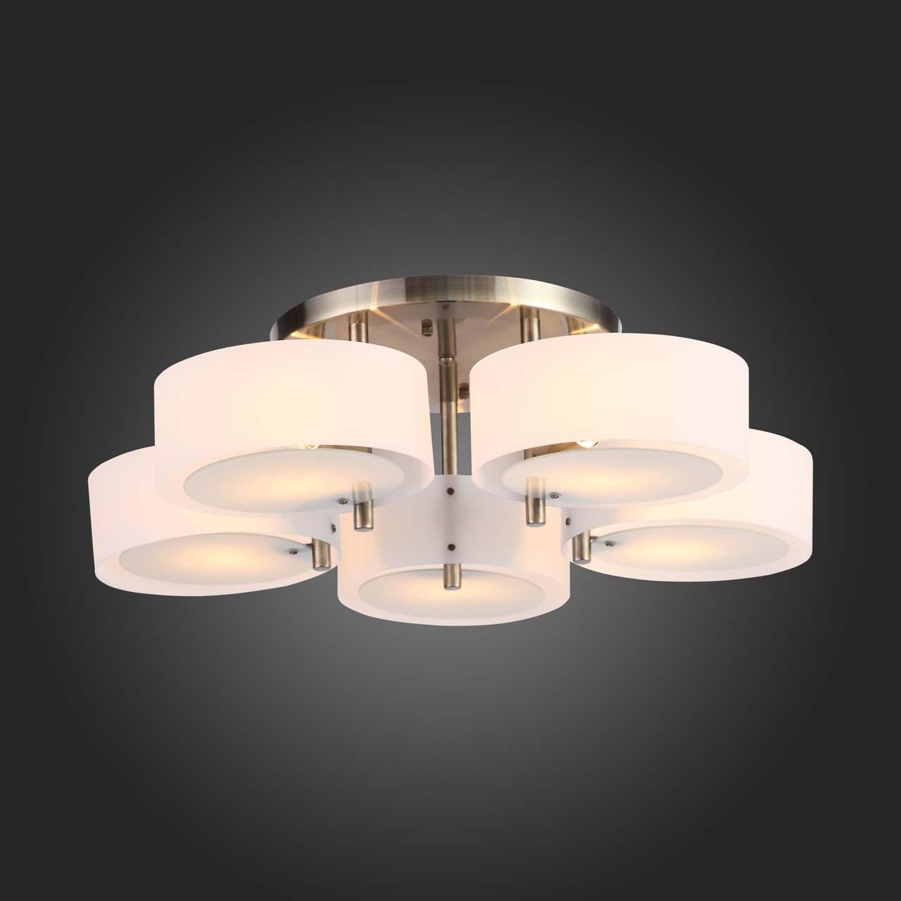 Потолочная люстра ST Luce Foresta SL483.352.05 ST LUCE ДИЗАЙНЕРСКИЕ, FORESTA 00-3888714 Белый  - Вид №3