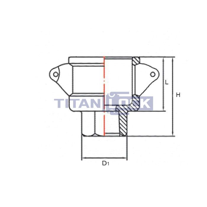 Камлок алюминиевый тип D серия "EcoLine" розетка, внутр. резьба BSP 2", TL200DAL-EL TITAN LOCK  - Вид №1