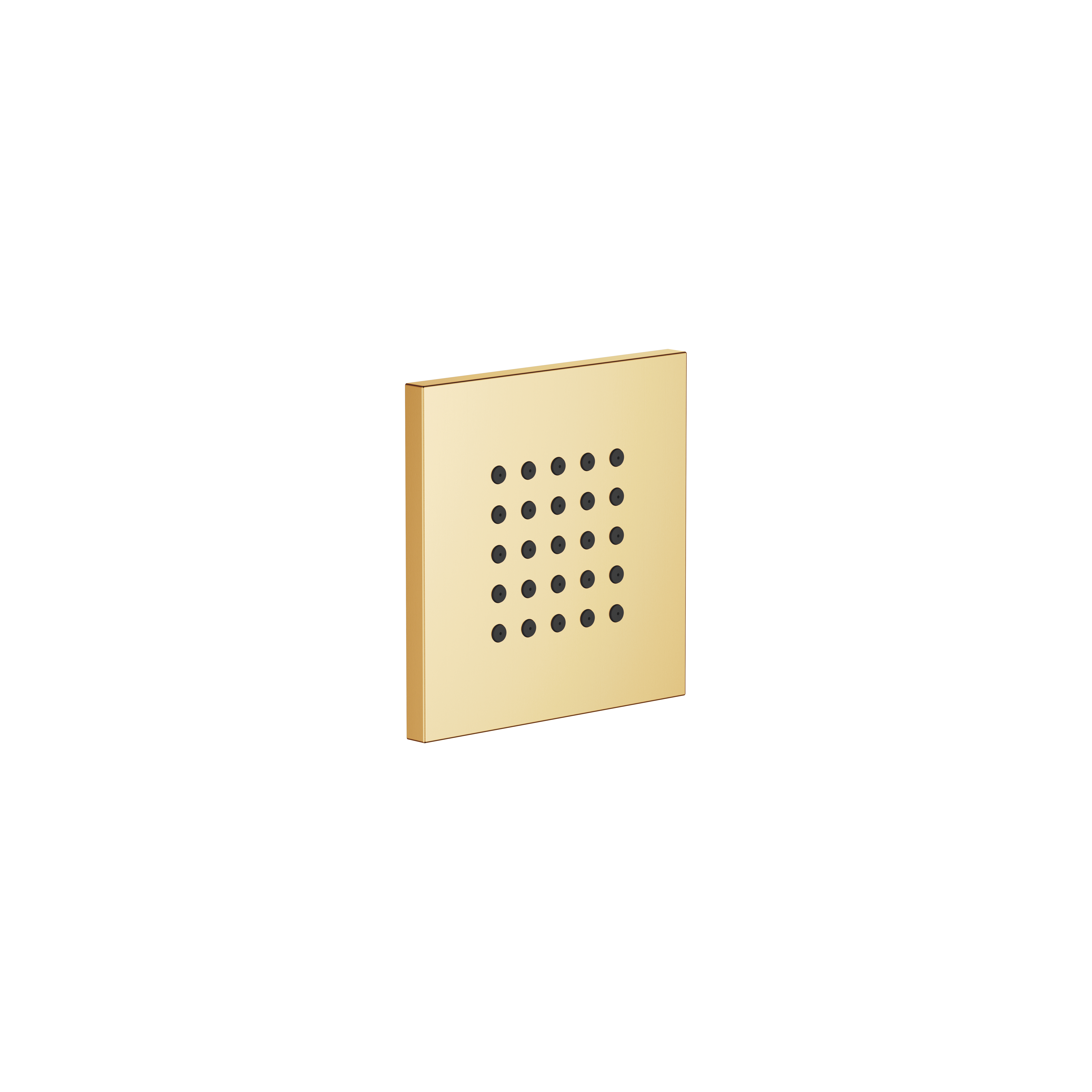 WATER POINTS Скрытый спрей для тела – Brushed Durabrass (23-каратное золото) DornBracht 36525979-28