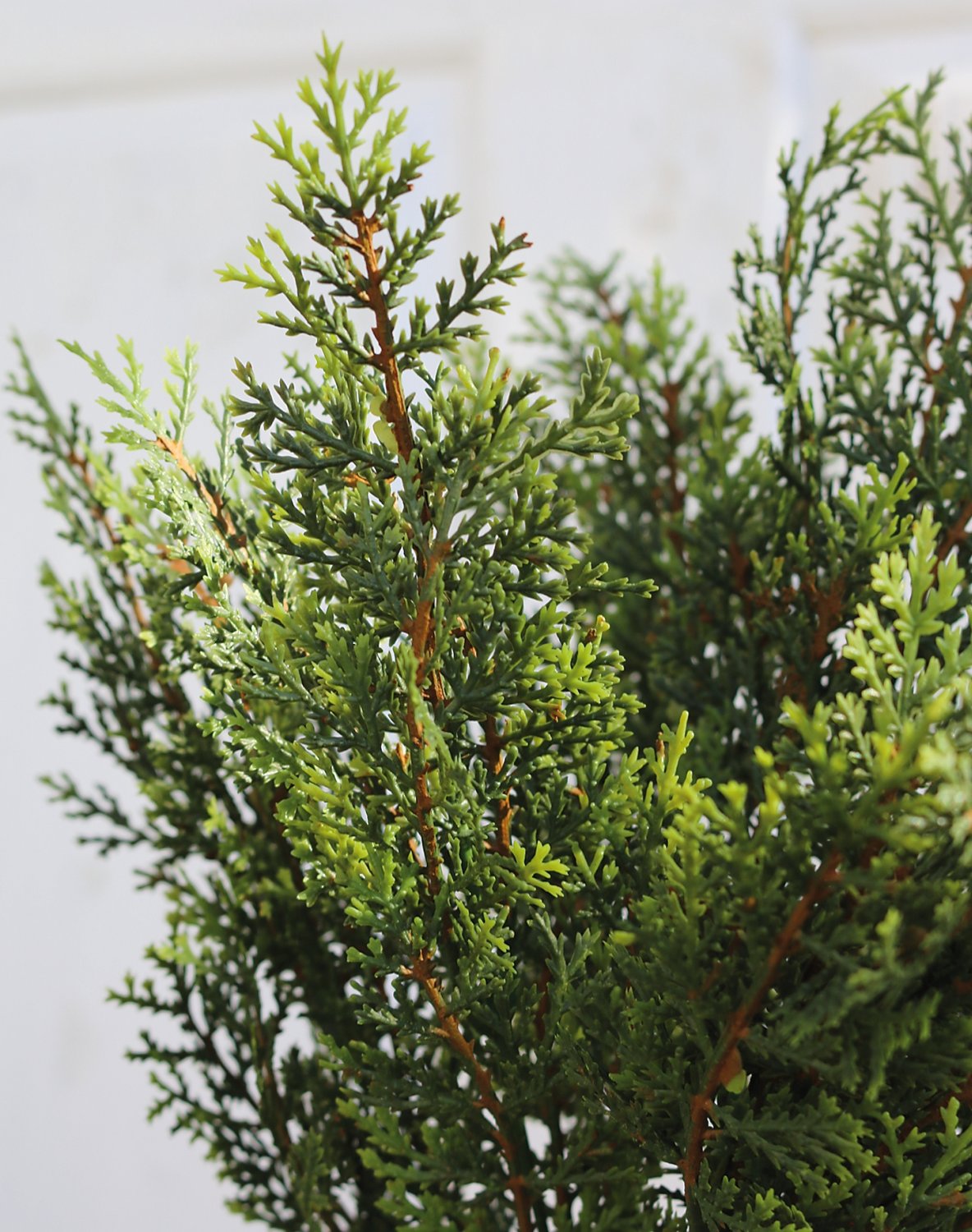 4920 883 a3 Искусственный стебель туи, 35 см, зеленый H-andreas 