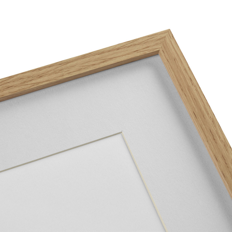 Картина в деревянной раме 52х42 см Chrysotis Braziliensis, 1867г. КАРТИНЫ В КВАРТИРУ  264403 Белый;коричневый;разноцветный  - Вид №3