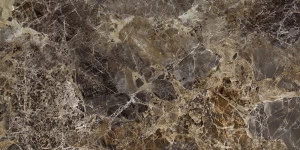 Керамический гранит CHATEAU LR0008 30х60 см ProGRES
